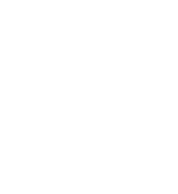 Logo do canal PARAMOUNT NETWORK