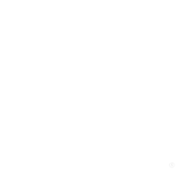 Logo do canal TNT HD